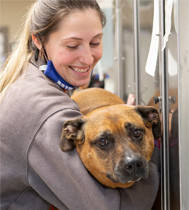 Edwardsville Veterinary Clinic & Emergency Vet – Hawthorne Animal Hospital