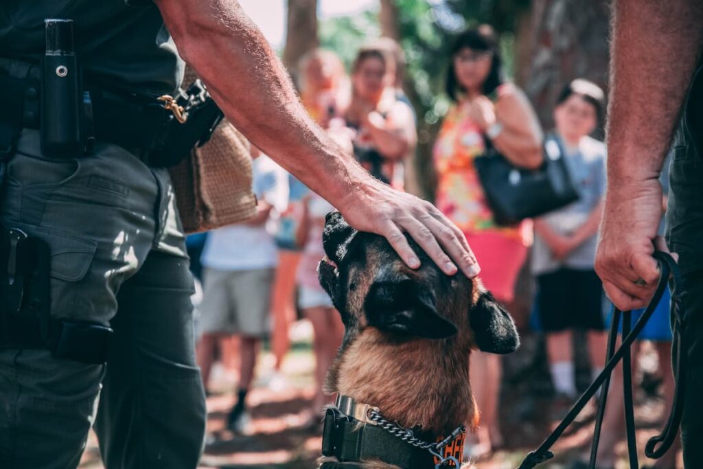 security dog being petted