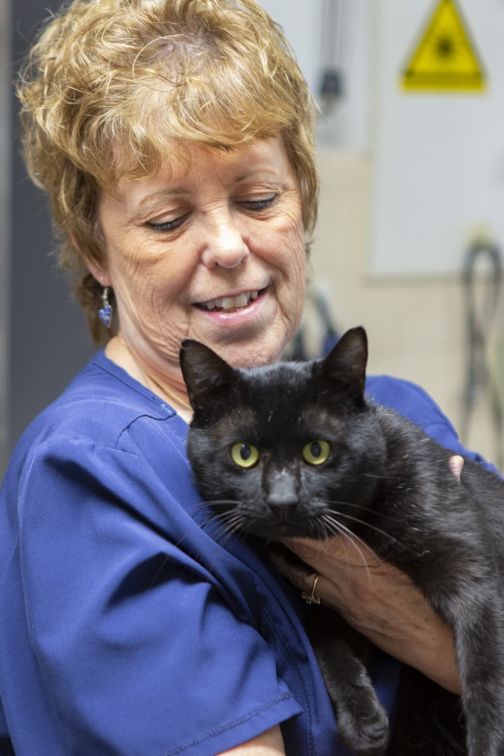 woman cuddling at cat at hawthorne animal hospital
